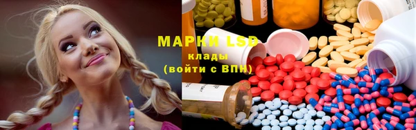 PSILOCYBIN Кодинск