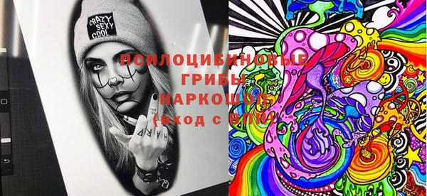 мет Козловка