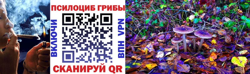 Купить  Дегтярск  Галлюциногенные грибы прущие грибы 